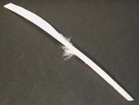 Plume d'oie ébarbée 