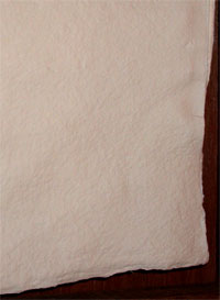 Très grande feuille de Rag à grain